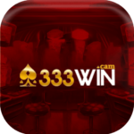 333wincam