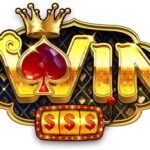 iwinvnwork