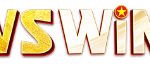 VSWIN