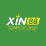 xin88xpro1
