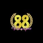 88vinnetpro